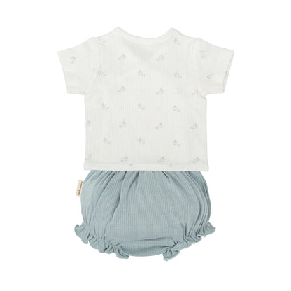 Conjunto 0-1 Mes BimbiDreams Eden