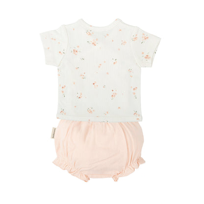 Conjunto 0-1 Mes BimbiDreams Monet