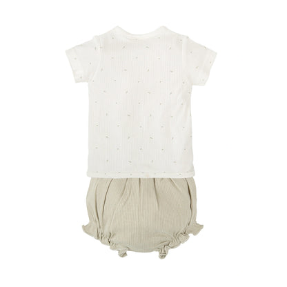 Conjunto 0-1 Mes BimbiDreams Cornelia