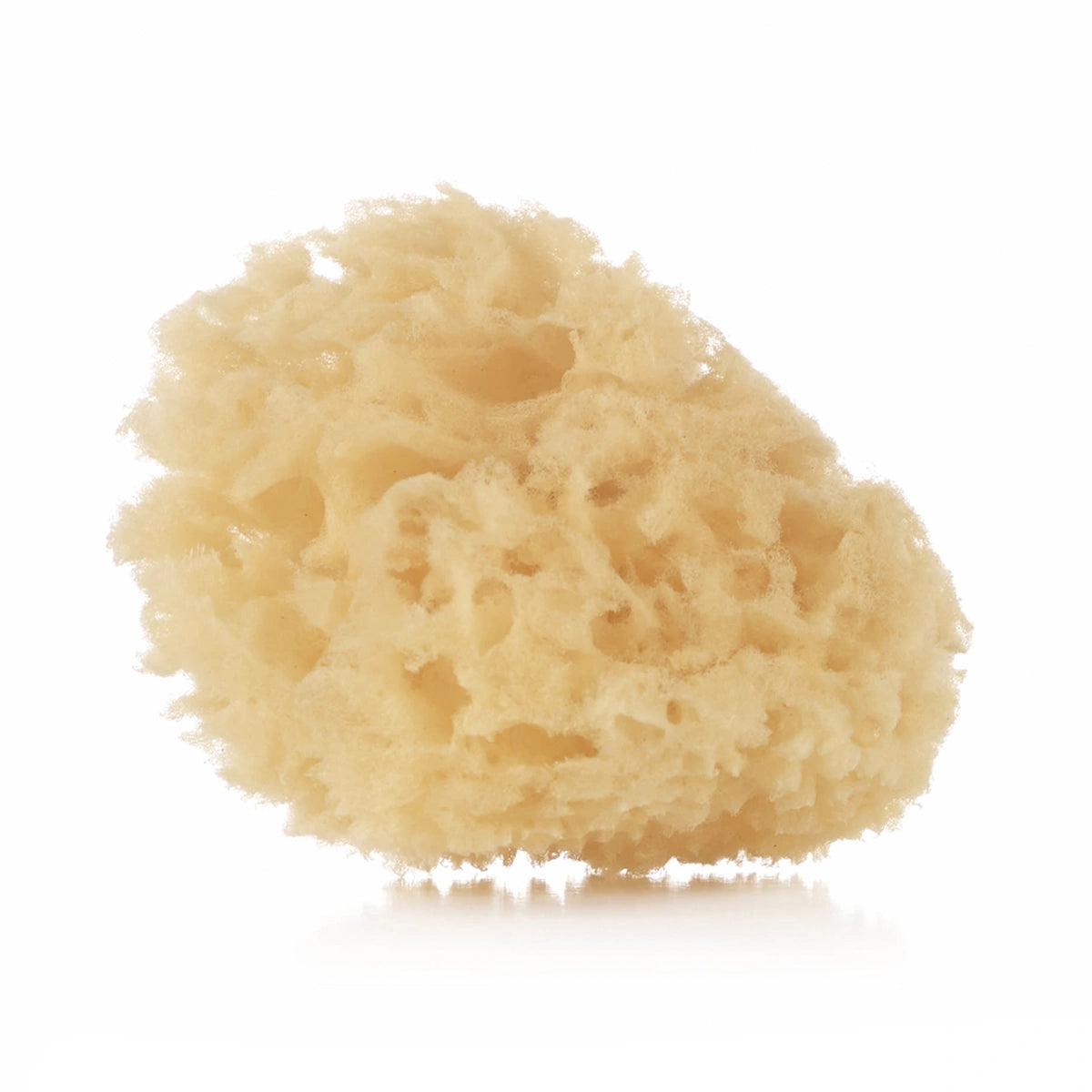 Esponjas Naturales Jané