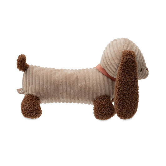 Perrito Jollein Diego